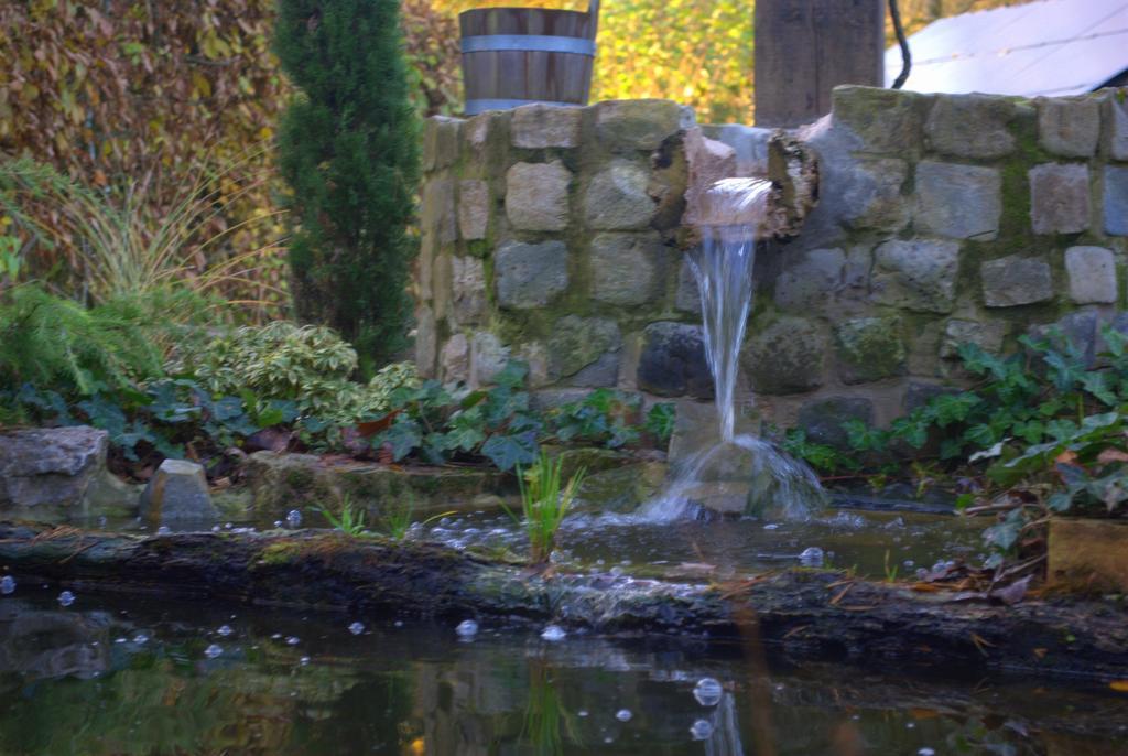 مبيت وإفطار Ferrières La Fiole Ambiance الغرفة الصورة